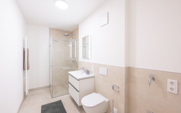 2-Zimmer-Wohnung Plattling Badezimmer mit begehbarer Dusche